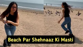 Mumbai Ke Beach Par Shehnaaz Ki Masti Dekhein Video 😳
