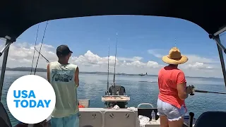 Great white shark leaps yards away from family boat | USA TODAY