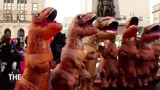 T-Rex takeover: Huge gathering of people in dinosaur costumes unite for party