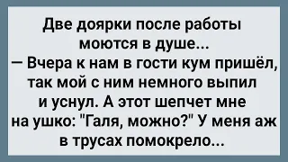 Кум Дождался Когда Муж Ляжет Спать и Пришел ко Мне! Сборник Свежих Анекдотов! Юмор!