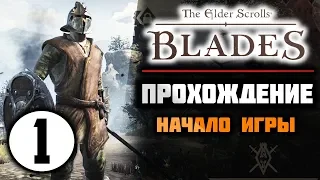 THE ELDER SCROLLS: BLADES прохождение || НАЧАЛО ИГРЫ и ПЕРВЫЙ ОБЗОР ( #1 )