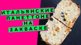 Панеттоне на закваске: итальянская рождественская выпечка (НАТУРАЛЬНО И ОЧЕНЬ АРОМАТНО!)