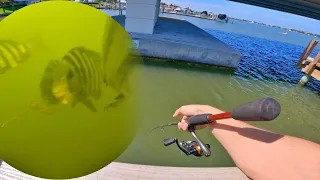 Awesome Underwater Catches!!! Sheepshead Fishing