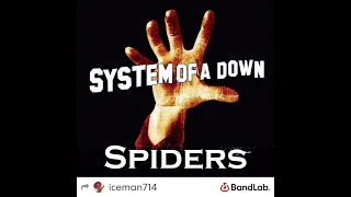 Spiders SOAD Acoustic Cover