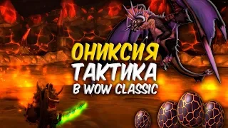 ОНИКСИЯ ТАКТИКА в WoW Classic