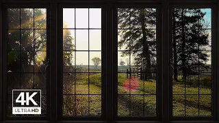 4K Countryside morning sunrise Ambience Window view with Nature Sounds -  Relaxing, Calming, Sunset