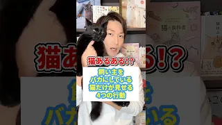 猫あるある！？飼い主をバカにしてる猫だけが見せる４つの行動