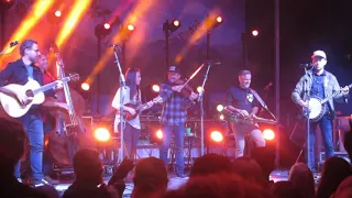 The Infamous Stringdusters - Cluck Old Hen - Watermelon Park Fest 2019