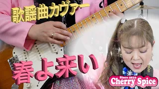 🎸【春よ来い】ユーミン カヴァー 🍒 Haruka with Cherry Spice