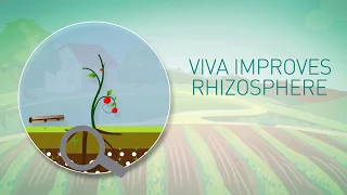 Viva, rhizosphere improver