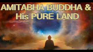 Amitabha Buddha & His Pure Land: Why They Really Exist (A Must Watch!)