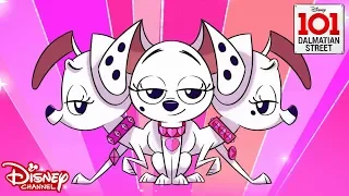 Diva Pups | 101 Dalmatian Street | Disney Channel Africa