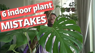 This is why your houseplants are struggling