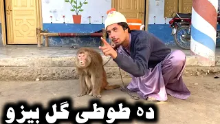 Da Tuti Gull Bezo || Pashto New Funny Video 2023 by Tuti Gull Official