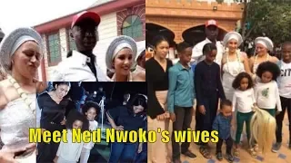 Meet Ned Nwoko's wives + Regina Daniels allegedly pregnant