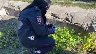 В Железногорске задержали подозреваемого в сбыте синтетических наркотиков, прибывшего из Рязани