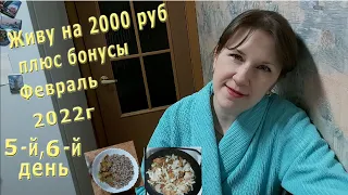 Живу на 2000 рублей! Февраль 2022 г. 5-й, 6-й день! Болталка/Булочки/Вымя жареное!