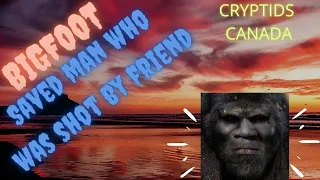 CC EPISODE 431 BIGFOOT SAVED A MAN WHO WAS SHOT BY HIS FRIEND