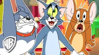 Tom y Jerry en Español | El desastre de la casa | WB Kids