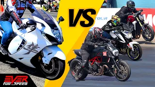 New Hayabusa 🆚The world 🔥CB1000R 🆚S1000RR  🆚 GSX-S1000 🆚 Diavel 🆚GSX-R1000🔥DRAG RACES 🔥 Piques 2022