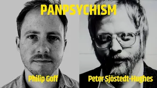 Is consciousness everywhere? Philip Goff & Peter Sjöstedt-Hughes on Panpsychism