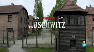 Las huellas de Auschwitz-Birkenau