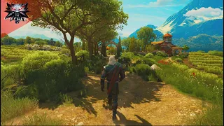 Witcher 3 - Soundtrack & Ambience - Walking to Beauclair | Toussaint