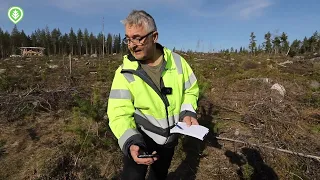 Tepsikö sumutettu Trico-hirvikarkote? | Metsälehti