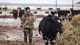 Бывшие заключенные станут фермерами  в Тыве начался необычный проект