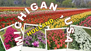 5 MILLION TULIPS! - 4K Walk Through the Tulip Gardens in Holland, Michigan 2024 #tulipgarden