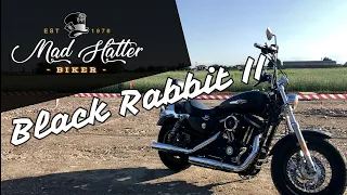BlackRabbitII - Harley Davidson Sportster 1200 custom (XL1200CB)