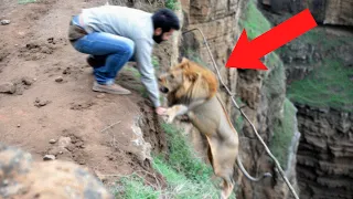 1 In A Million Animal Moments Caught On Camera