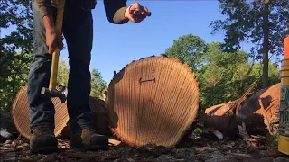 What makes a veneer log