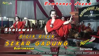 Sholawat Ricik Ricik Sekar gadung Calung Lengger banyumasan Kembange jagad cilacap