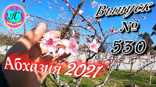 🌴Абхазия 2021❗29 марта❗Выпуск №530💯Погода и новости от Водяного 🌡ночью +6°🌡днем +14°🐬море +10°🌴