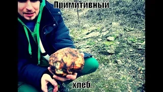 Примитивная выпечка хлеба в диких условиях. Братья Кустовы. Primitive Technologies.