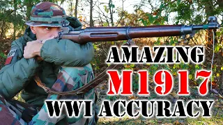 Model 1917 Amazing Accuracy from WWI Rifle!