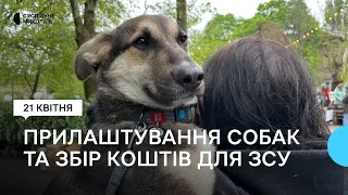 У Миколаєві відбулася виставка-прилаштування собак та збір для ЗСУ