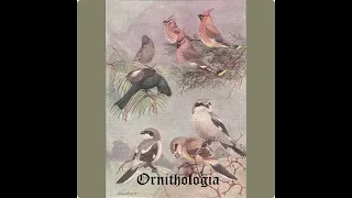 Ornithologia - I (2018) (Dungeon Synth, Ambient, Nature Synth)