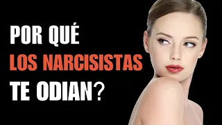 ¿Por qué te Odia un Narcisista? | 10 Razones Por Las Que Los Narcisistas Te Odian