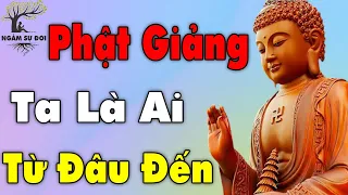 Ta là ai, Từ đâu đến, Cuộc đời của ta là gì? KINH NGẠC trước câu trả lời của Đức Phật | Ngẫm Sự Đời