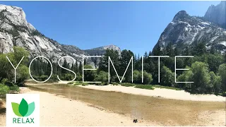 Peaceful moment in YOSEMITE | 3 Hours: Just relax with Birds Singing | Bird Chirping