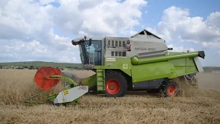 CLAAS MEGA 360 Winter rye /// CLAAS MEGA 360 Озимая рожь