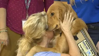 'Every day we see miracles happen': Jimmy, a trained therapy dog, is helping students