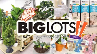 BIG LOTS 2024 ● New Finds ● Shop with me