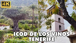 Icod de los Vinos - Tenerife Canary Islands