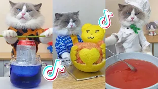 That Little Puff | Cats Make Food 😻 | TikTok Compilation 2023 #15