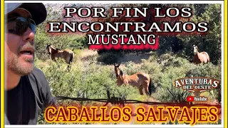 AVENTURA NÚMERO 512 EN BUSCA DE LOS CABALLOS SALVAJES DE ARIZONA