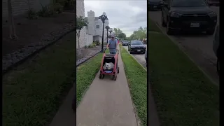 Собака которая любит кататься в коляске