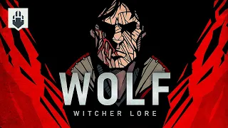 Witcher Animation : School of the Wolf